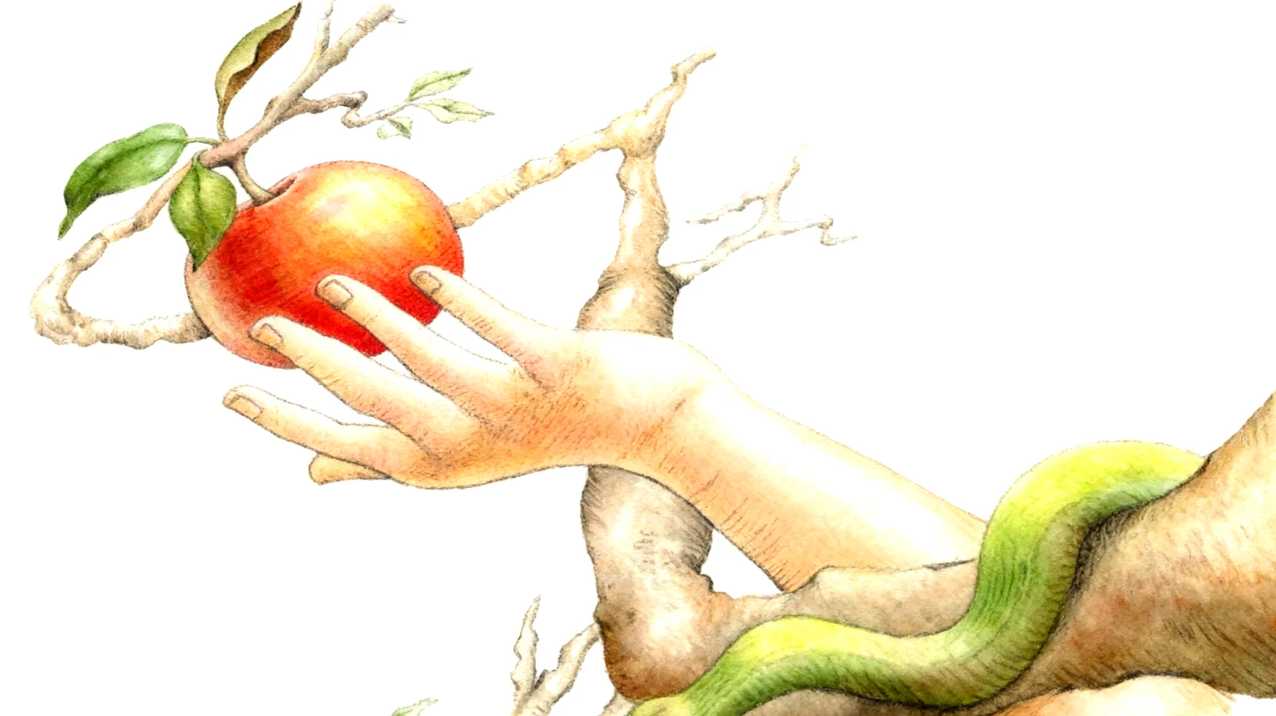 Forbidden Fruit2026-03-01T14:40:55.233Z"